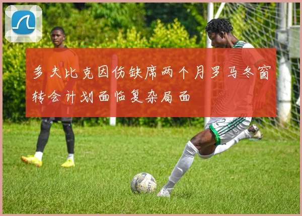 多夫比克因伤缺席两个月罗马冬窗转会计划面临复杂局面